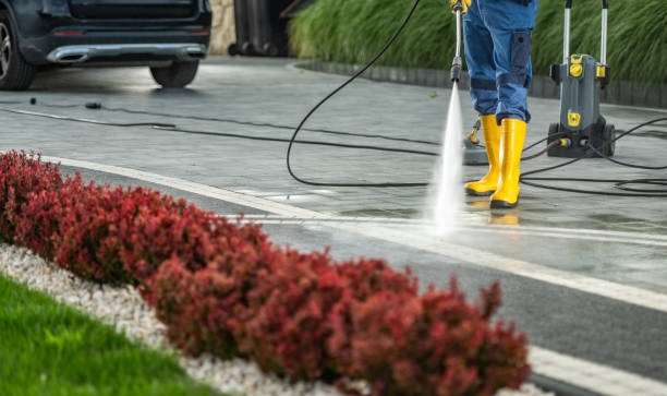 Hawaiian Paradise Park, HI Pressure Washing Services Company